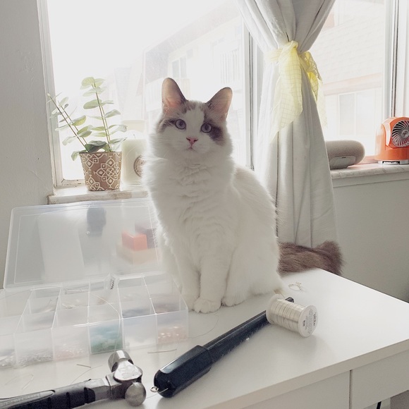 Meet Your Posher - Picture 5 of 5